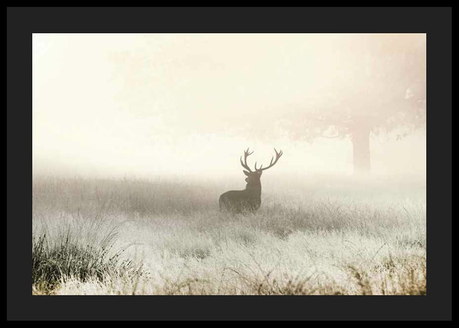 Deer with big antlers standing in foggy meadow with bright tones-12