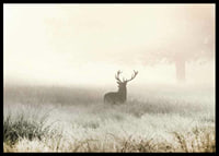 Deer with big antlers standing in foggy meadow with bright tones-6