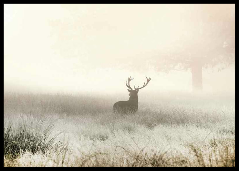 Deer with big antlers standing in foggy meadow with bright tones-12