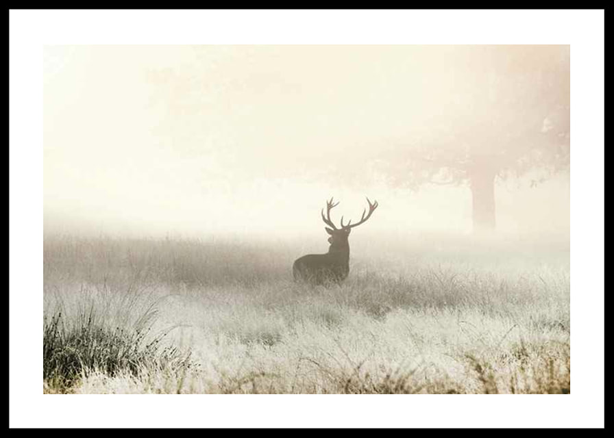 Deer with big antlers standing in foggy meadow with bright tones-12