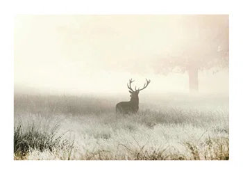 Poster Deer In Mist