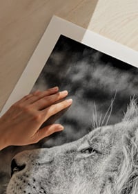Black and white close-up of male lion's profile with clear mane-9