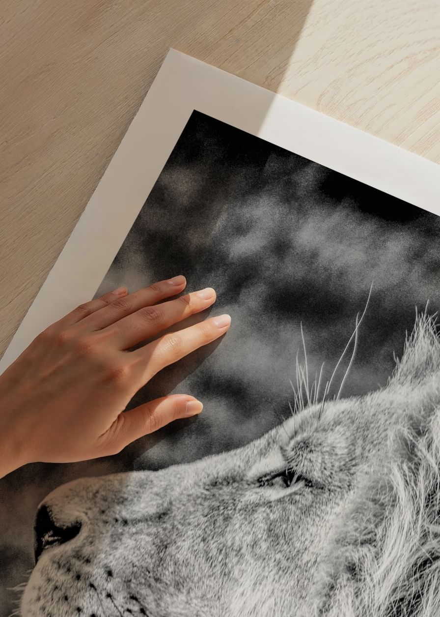 Male Lion Profile-12