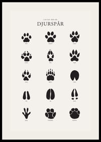 Stiliserade svarta djurspår på ljusgrå bakgrund-2