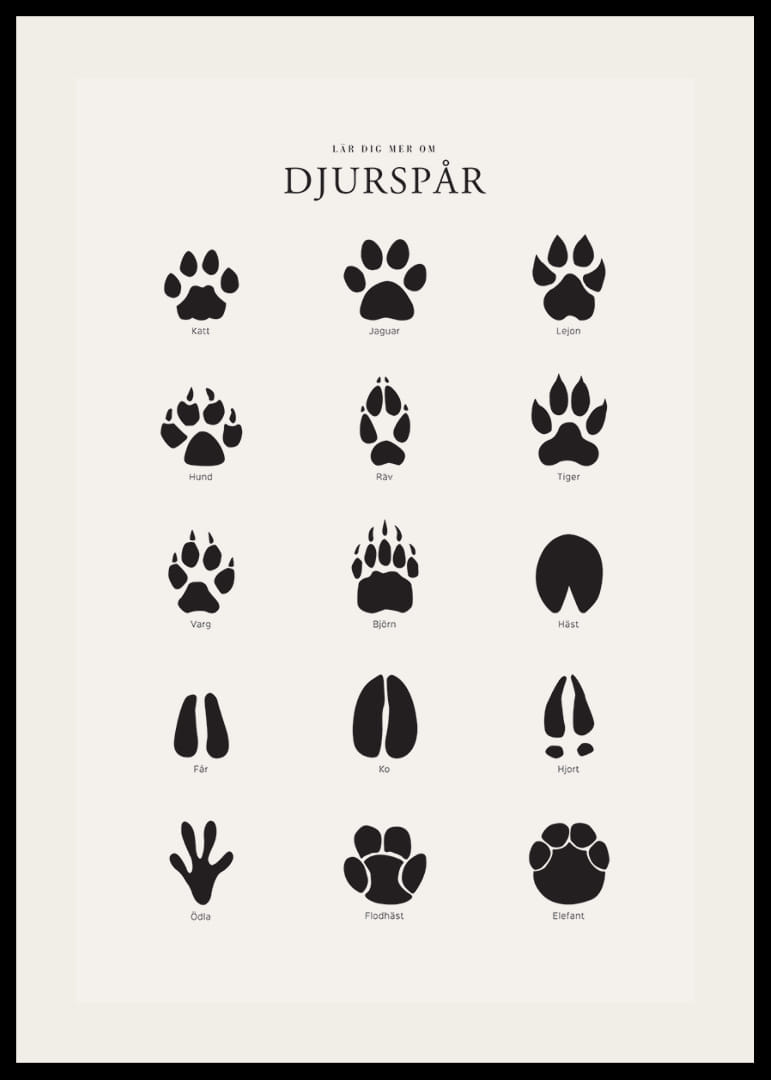 Stiliserade svarta djurspår på ljusgrå bakgrund-12