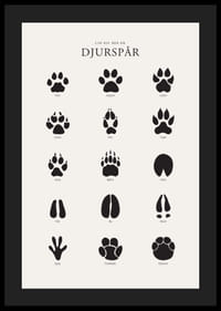 Stiliserade svarta djurspår på ljusgrå bakgrund-4