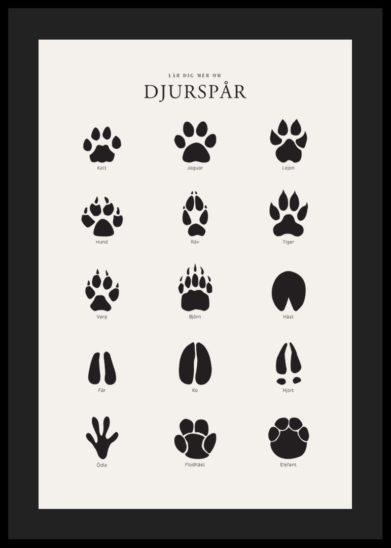 Stiliserade svarta djurspår på ljusgrå bakgrund-12