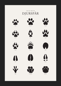 Stiliserade svarta djurspår på ljusgrå bakgrund-5