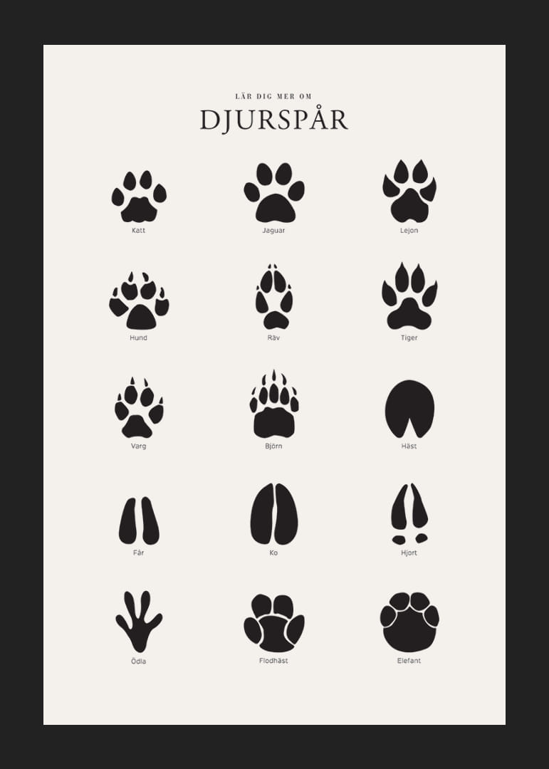 Stiliserade svarta djurspår på ljusgrå bakgrund-12