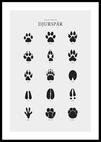 Poster Djurspår
