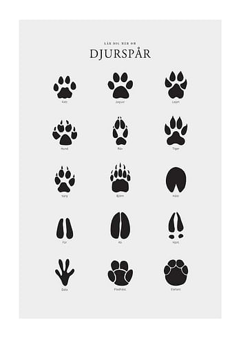Poster Djurspår