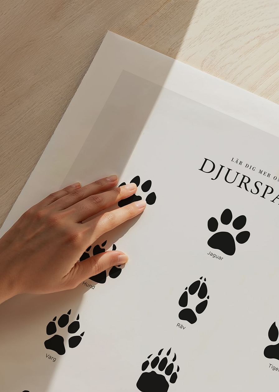 Djurspår-12