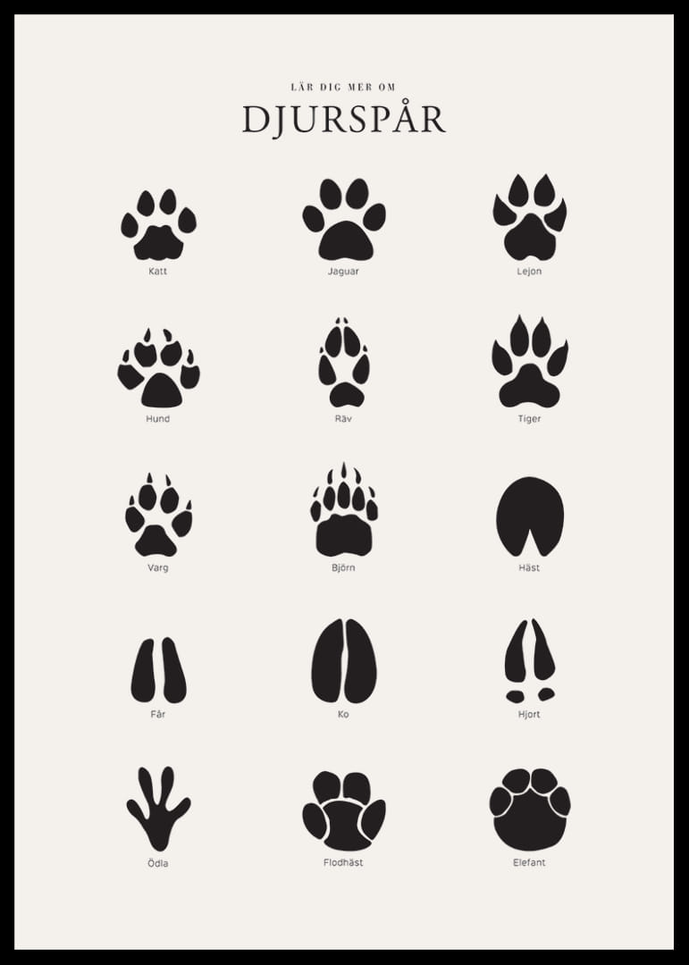 Stiliserade svarta djurspår på ljusgrå bakgrund-12