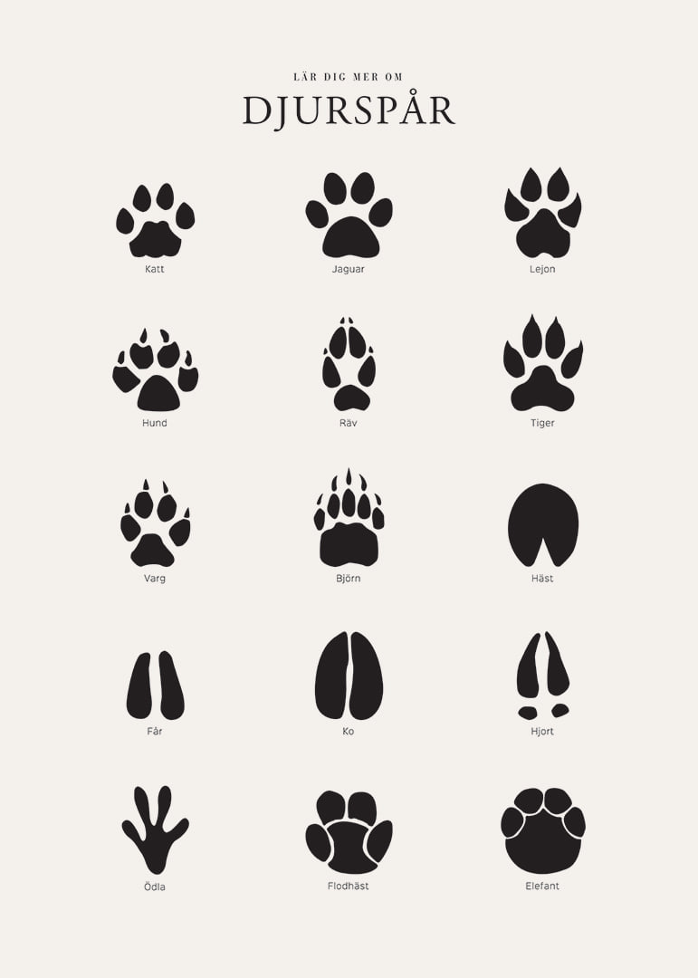 Stiliserade svarta djurspår på ljusgrå bakgrund-12