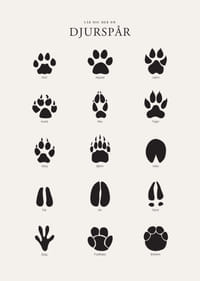 Stiliserade svarta djurspår på ljusgrå bakgrund-3