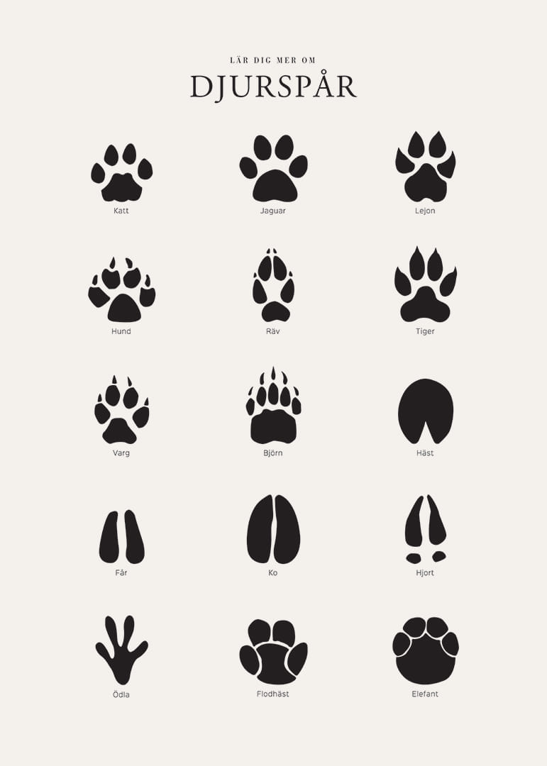 Stiliserade svarta djurspår på ljusgrå bakgrund-12