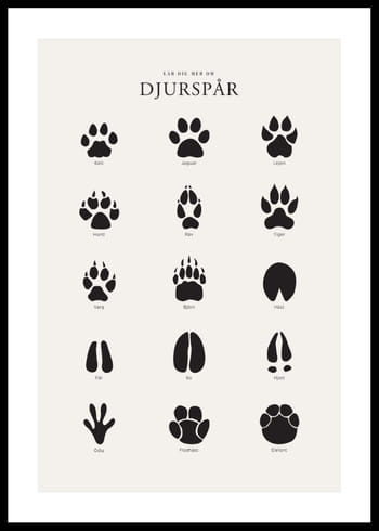 Poster Djurspår