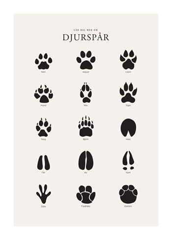 Poster Djurspår