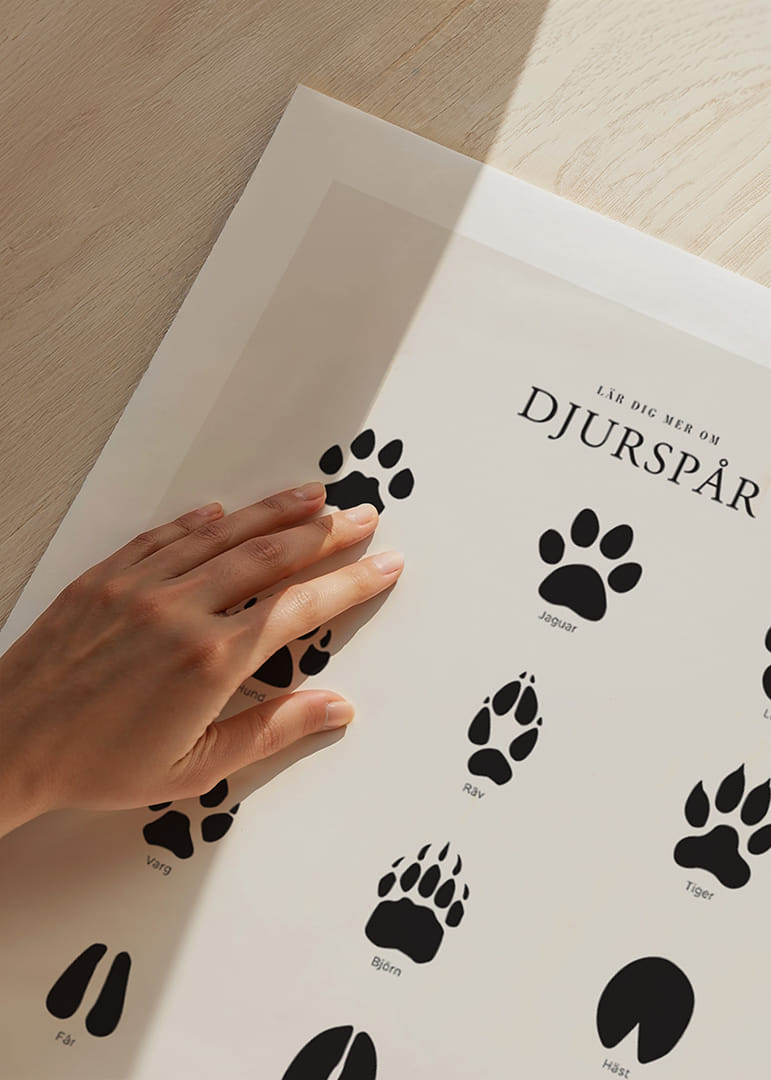 Stiliserade svarta djurspår på ljusgrå bakgrund-12