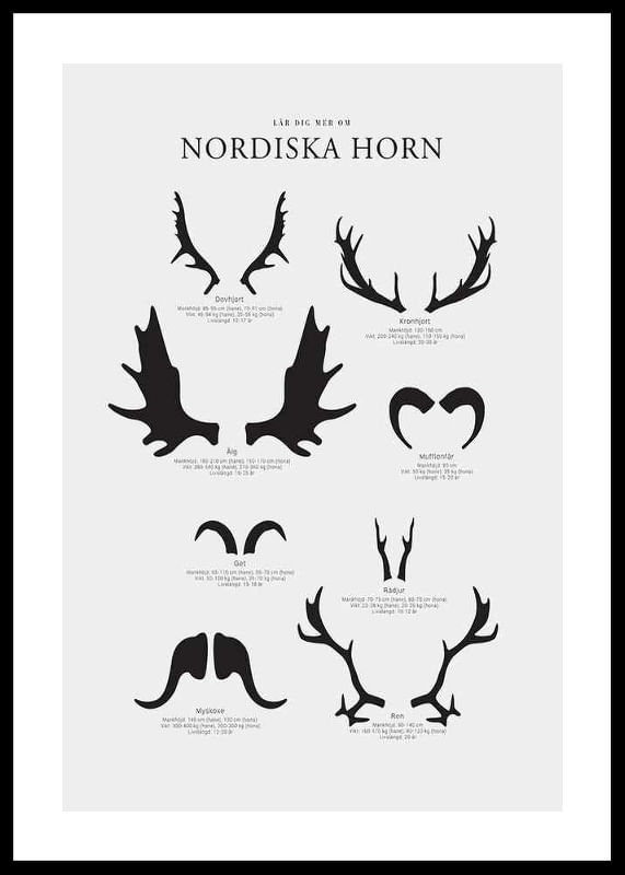 Nordiska Horn-12