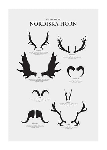 Poster Nordiska Horn