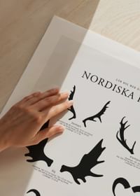 Nordiska Horn-5
