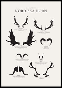 Illustrerade silhuetter av nordiska djurhorn i svartvitt-2