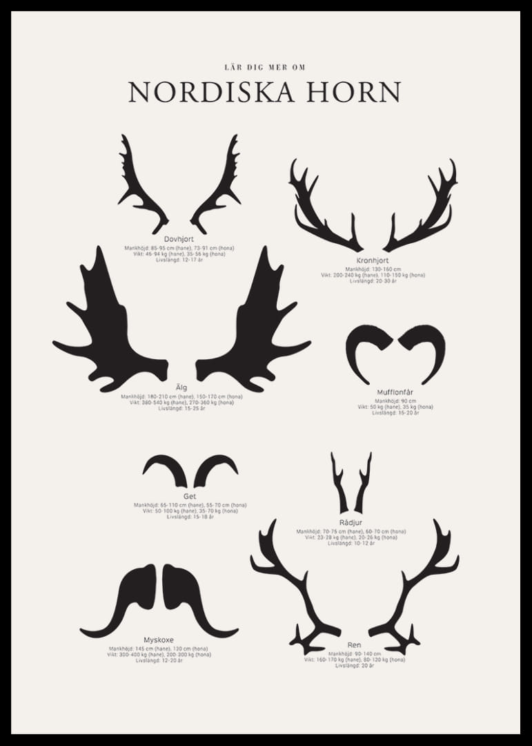 Illustrerade silhuetter av nordiska djurhorn i svartvitt-12