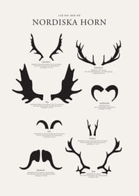 Illustrerade silhuetter av nordiska djurhorn i svartvitt-3