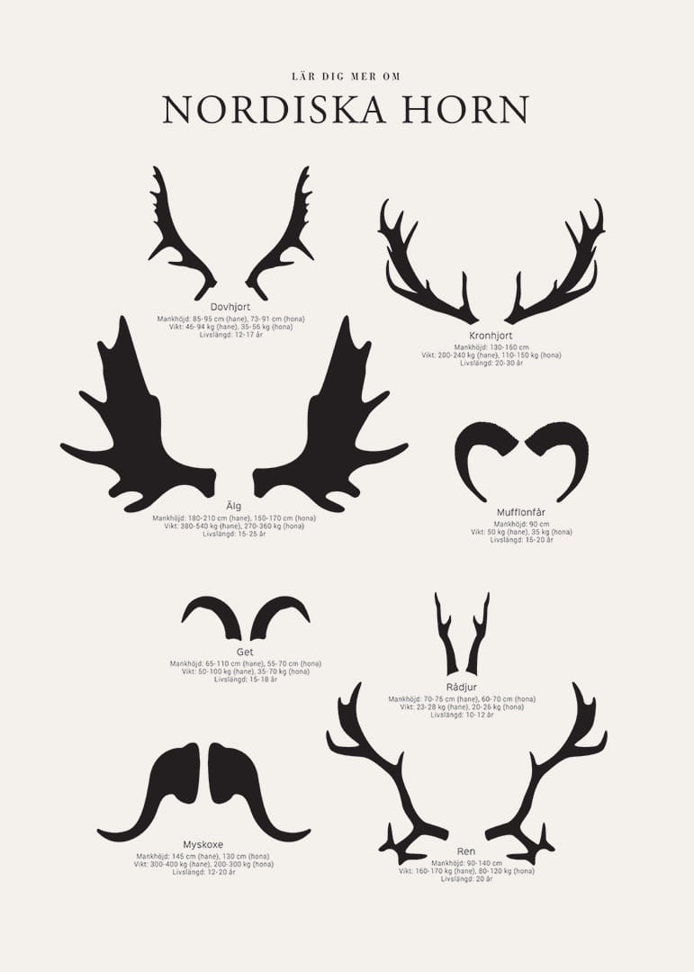 Illustrerade silhuetter av nordiska djurhorn i svartvitt-12