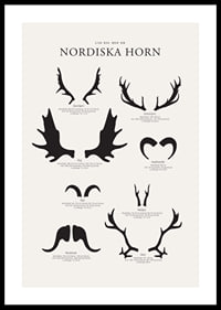 Illustrerade silhuetter av nordiska djurhorn i svartvitt-0