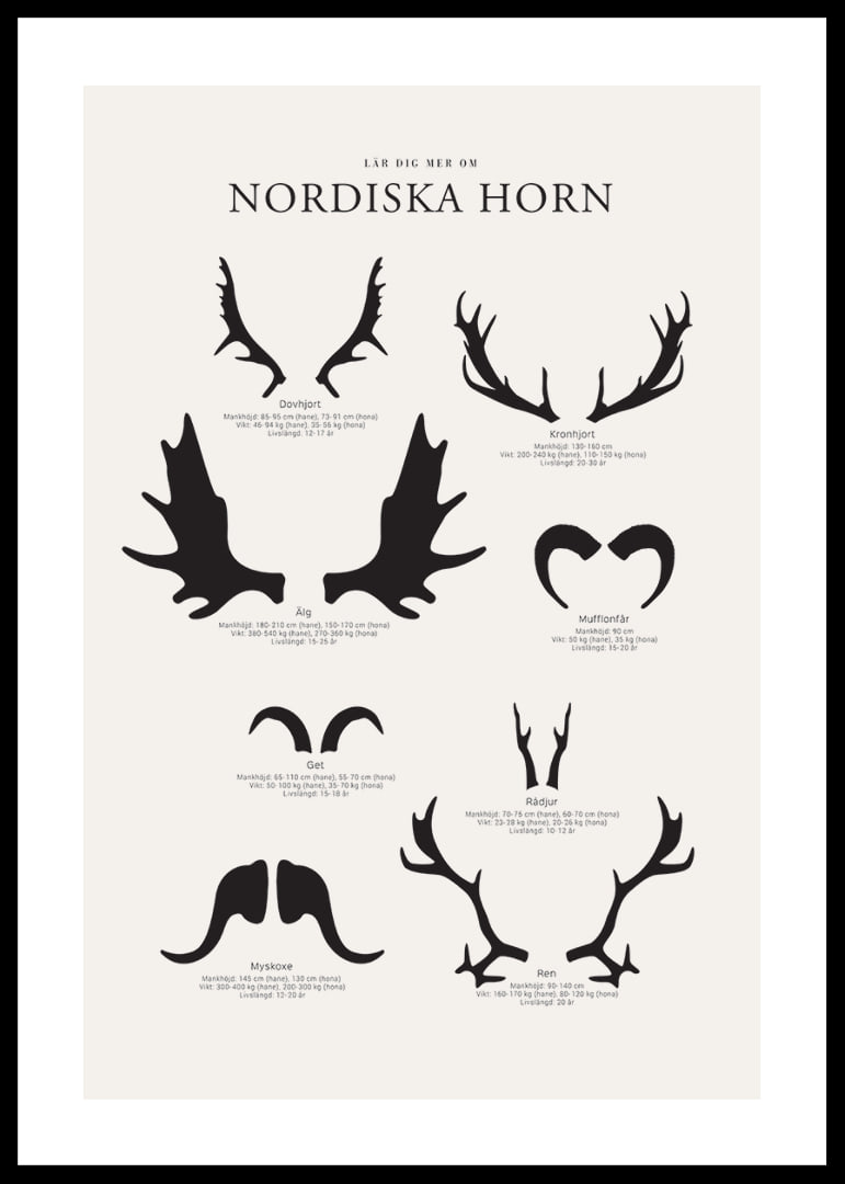 Illustrerade silhuetter av nordiska djurhorn i svartvitt-12