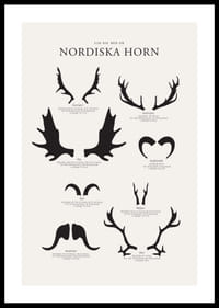 Illustrerade silhuetter av nordiska djurhorn i svartvitt-0