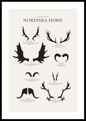 Poster Nordiska Horn