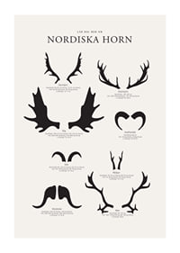 Illustrerade silhuetter av nordiska djurhorn i svartvitt-1