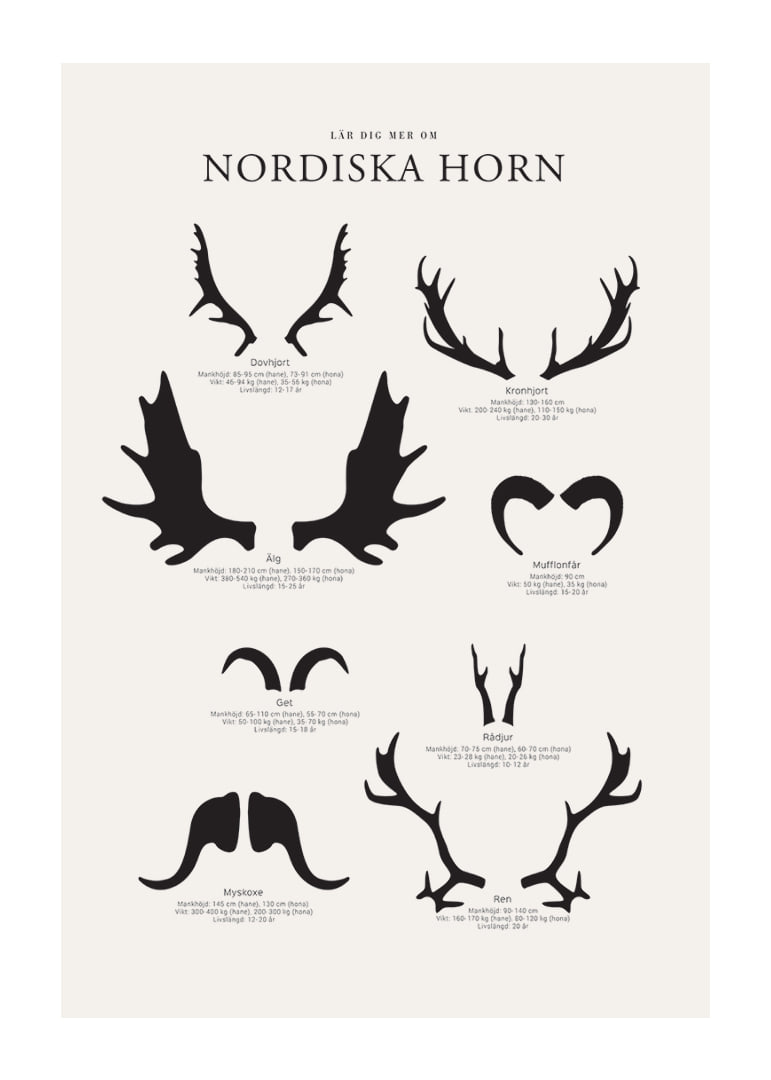 Illustrerade silhuetter av nordiska djurhorn i svartvitt-12