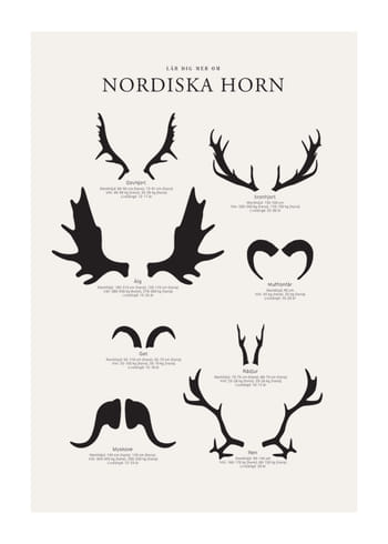 Poster Nordiska Horn