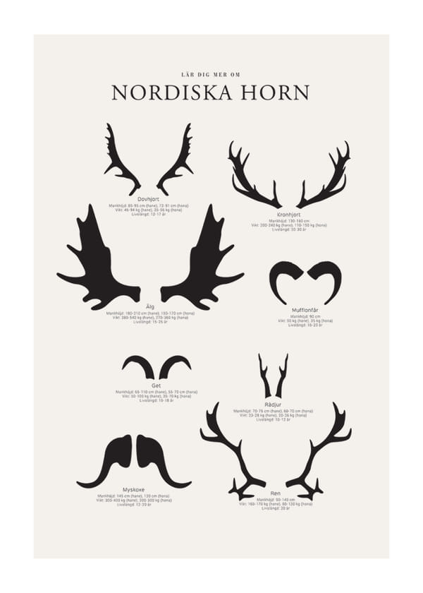 Poster Nordiska Horn