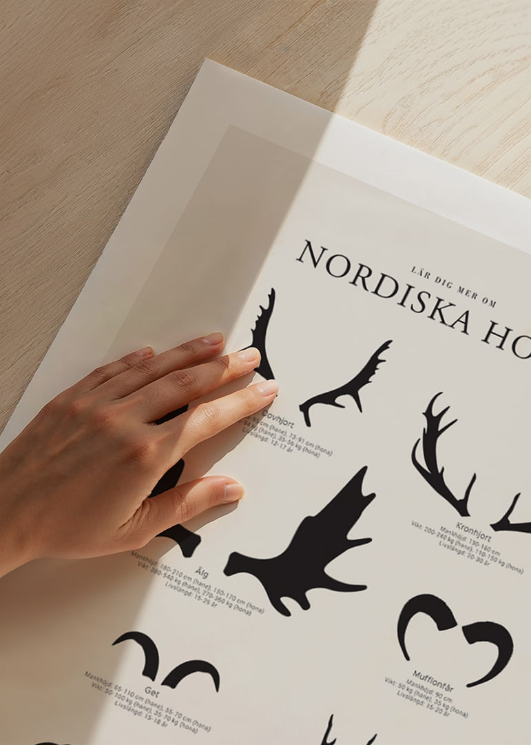 Illustrerade silhuetter av nordiska djurhorn i svartvitt-12