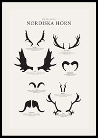 Illustrerade silhuetter av nordiska djurhorn i svartvitt-2