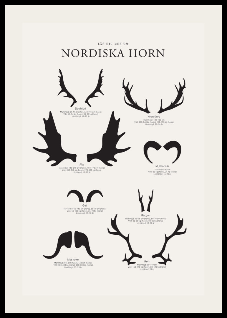 Illustrerade silhuetter av nordiska djurhorn i svartvitt-12