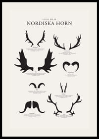 Illustrerade silhuetter av nordiska djurhorn i svartvitt-2