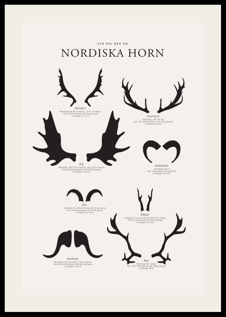 Illustrerade silhuetter av nordiska djurhorn i svartvitt-12