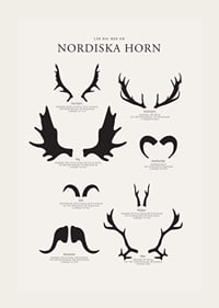 Illustrerade silhuetter av nordiska djurhorn i svartvitt-3