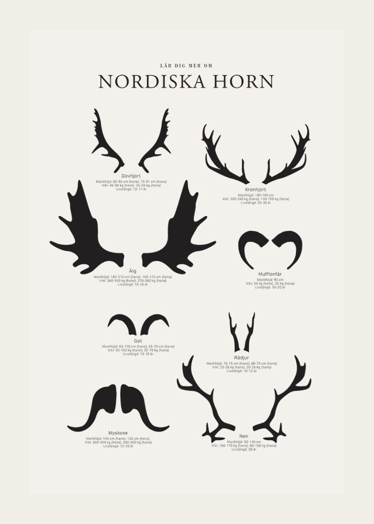 Illustrerade silhuetter av nordiska djurhorn i svartvitt-12