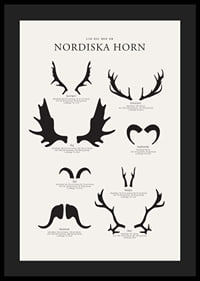 Illustrerade silhuetter av nordiska djurhorn i svartvitt-4