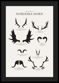 Illustrerade silhuetter av nordiska djurhorn i svartvitt-4