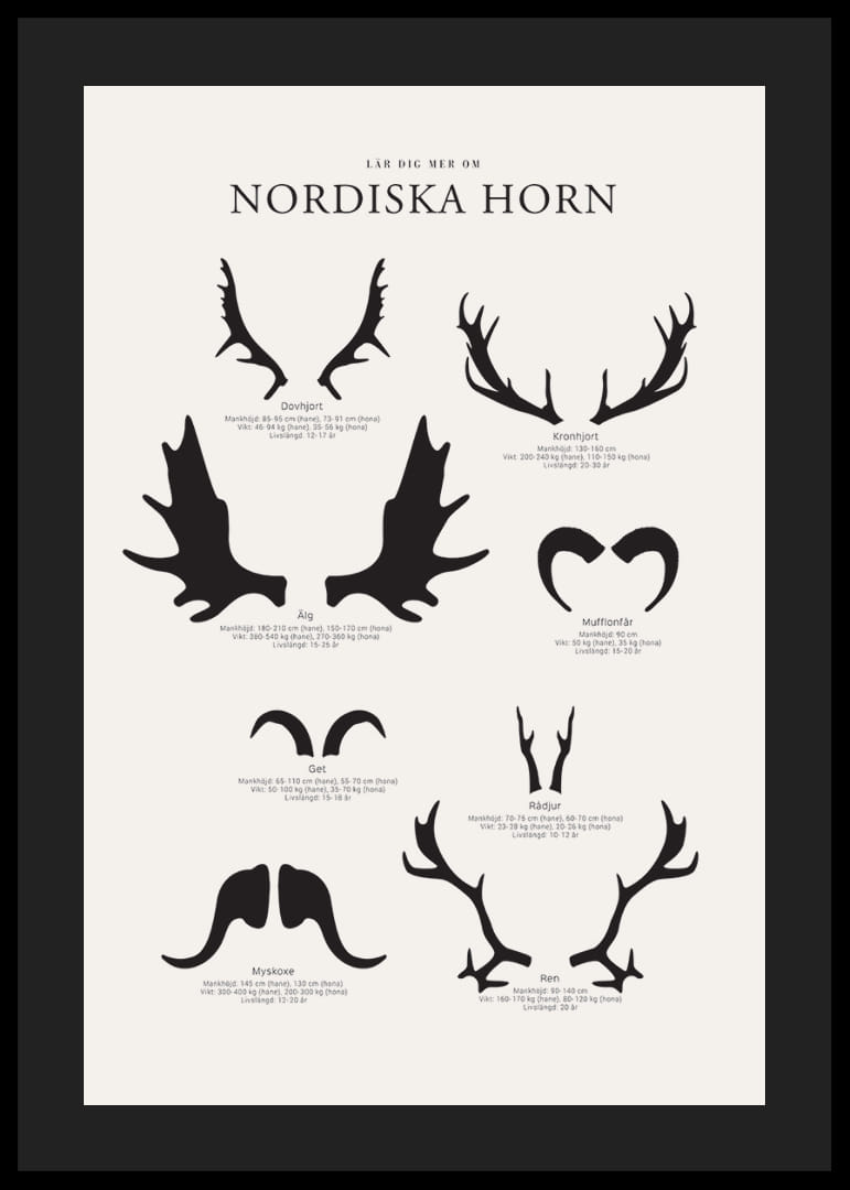 Illustrerade silhuetter av nordiska djurhorn i svartvitt-12