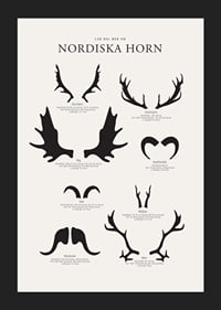 Illustrerade silhuetter av nordiska djurhorn i svartvitt-5