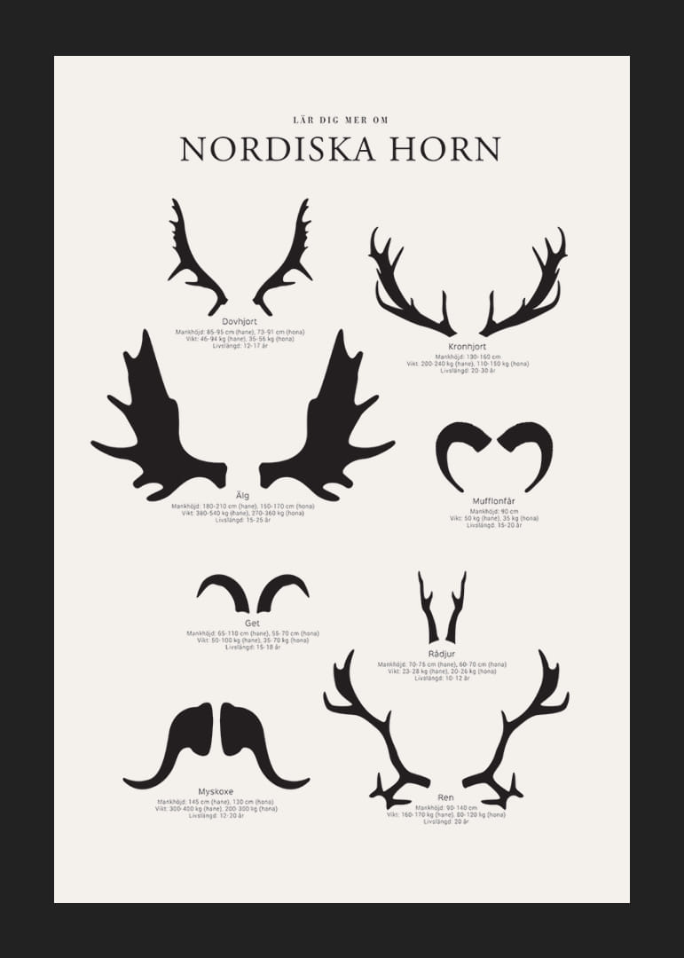 Illustrerade silhuetter av nordiska djurhorn i svartvitt-12